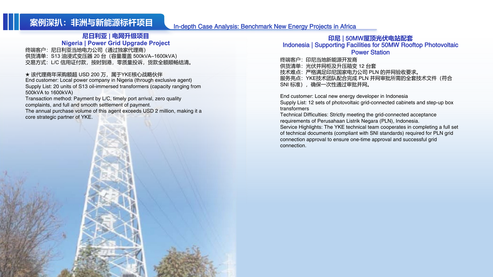 New Energy Electrical